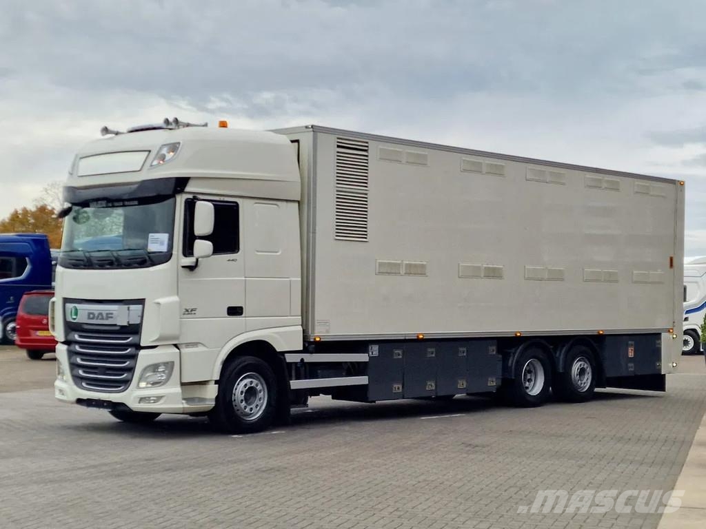 DAF XF 440 SuperSpaceCab 6x2*4 - 2 deck Closed Livesto Kamioni za transport stoke