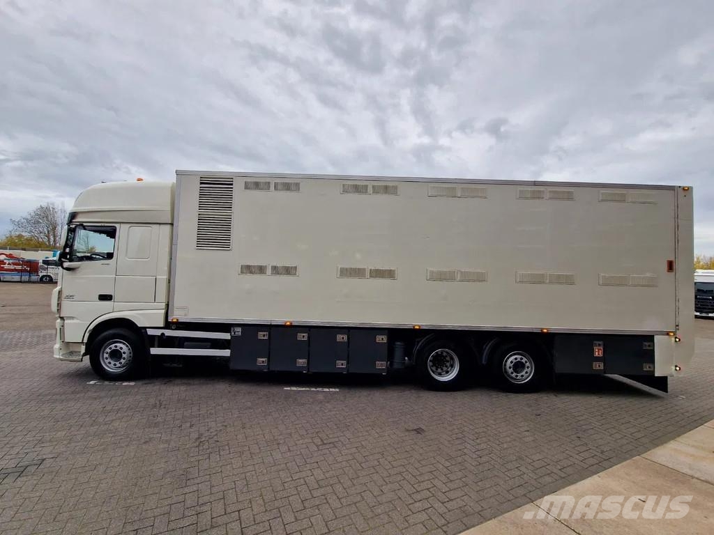 DAF XF 440 SuperSpaceCab 6x2*4 - 2 deck Closed Livesto Автотранспорт для перевезення тварин