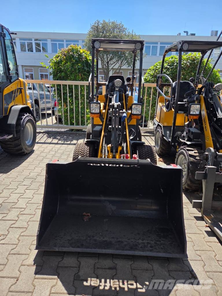 Schäffer 1422 SGT Pale gommate