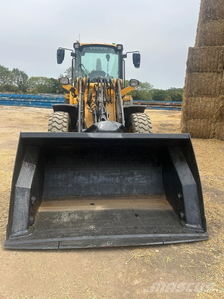 Volvo L 45 H Cargadoras sobre ruedas