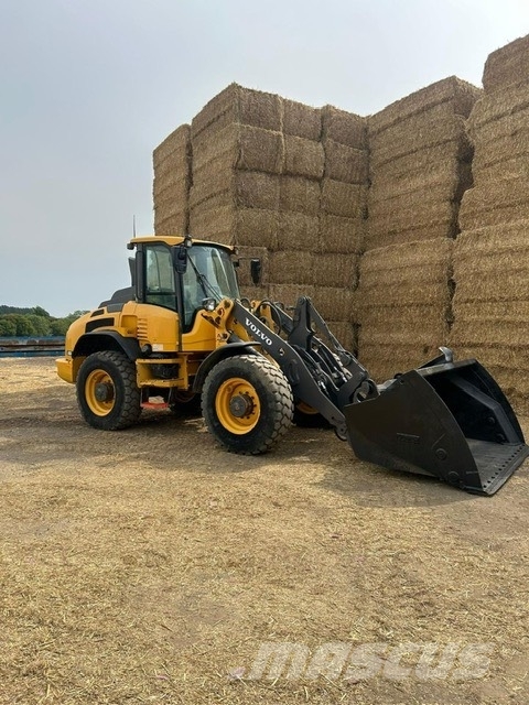 Volvo L 45 H Cargadoras sobre ruedas