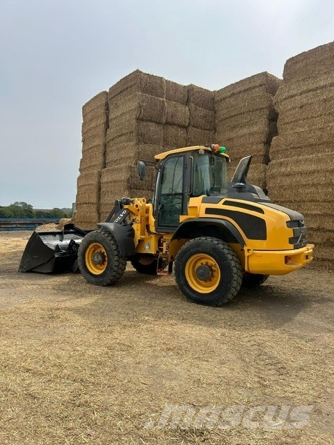 Volvo L 45 H Cargadoras sobre ruedas