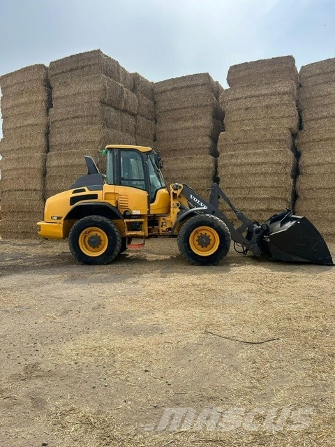 Volvo L 45 H Cargadoras sobre ruedas