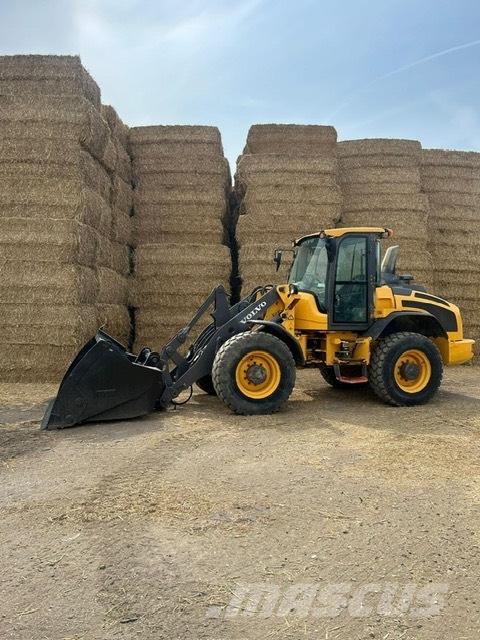 Volvo L 45 H Cargadoras sobre ruedas