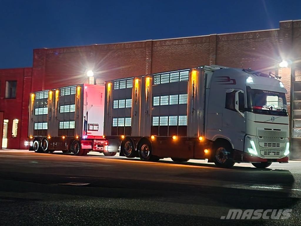 Volvo FH 13.500 XL 6x2 - Pezzaioli livestock 3 deck + Tr Eläinkuljetusautot