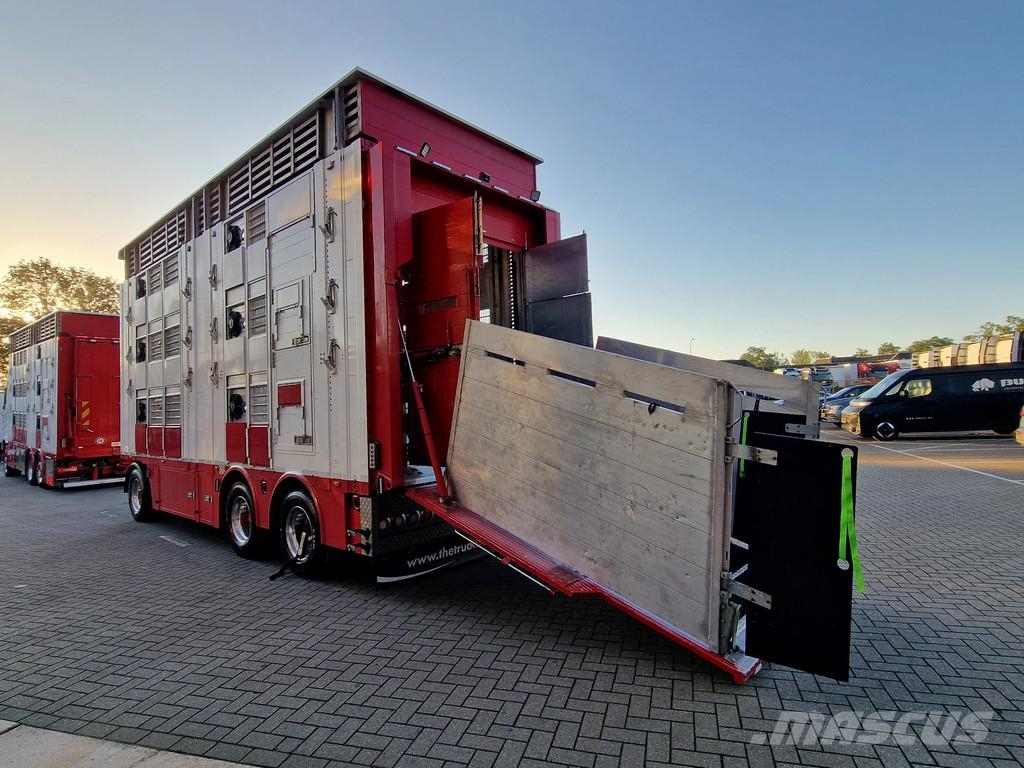 Volvo FH 13.500 XL 6x2 - Pezzaioli livestock 3 deck + Tr Eläinkuljetusautot