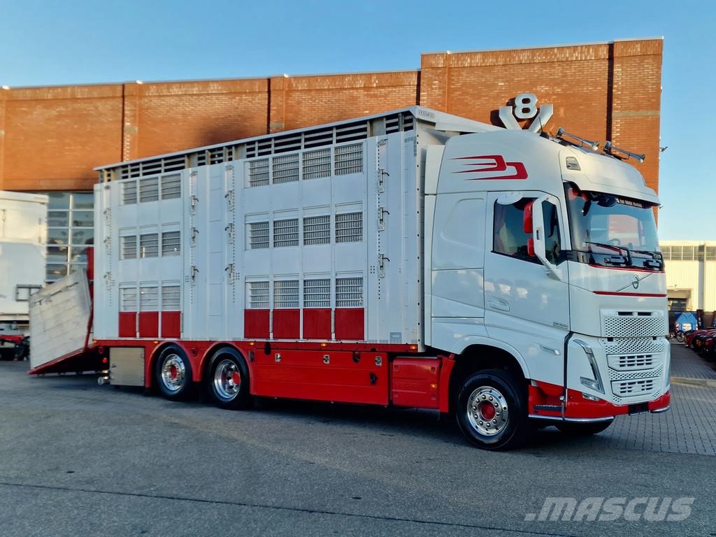 Volvo FH 13.500 XL 6x2 - Pezzaioli livestock 3 deck + Tr Eläinkuljetusautot
