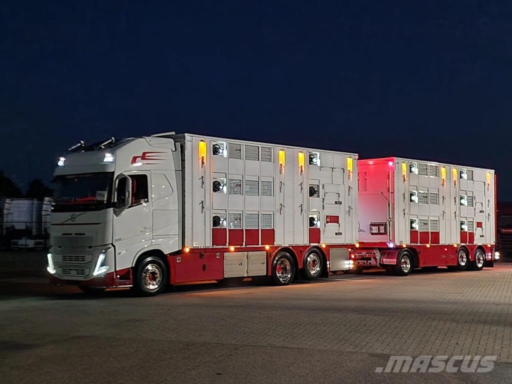 Volvo FH 13.500 XL 6x2 - Pezzaioli livestock 3 deck + Tr Eläinkuljetusautot