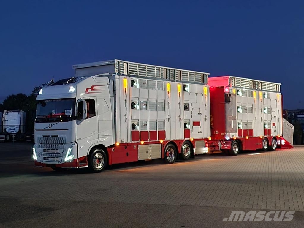 Volvo FH 13.500 XL 6x2 - Pezzaioli livestock 3 deck + Tr Eläinkuljetusautot
