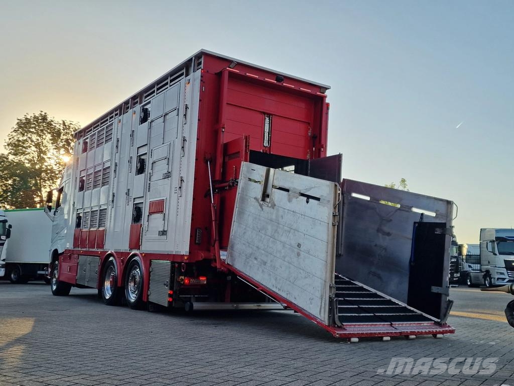 Volvo FH 13.500 XL 6x2 - Pezzaioli livestock 3 deck + Tr Eläinkuljetusautot
