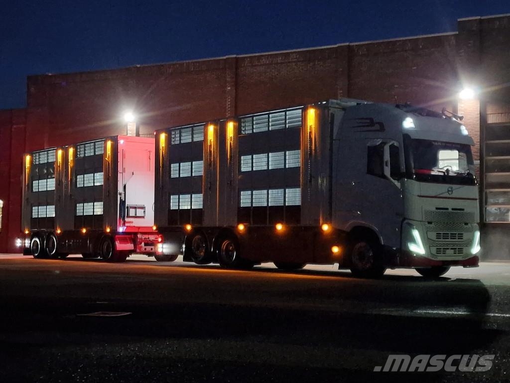 Volvo FH 13.500 XL 6x2 - Pezzaioli livestock 3 deck + Tr Eläinkuljetusautot