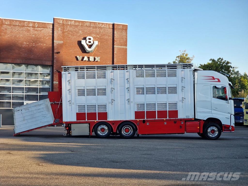 Volvo FH 13.500 XL 6x2 - Pezzaioli livestock 3 deck + Tr Eläinkuljetusautot