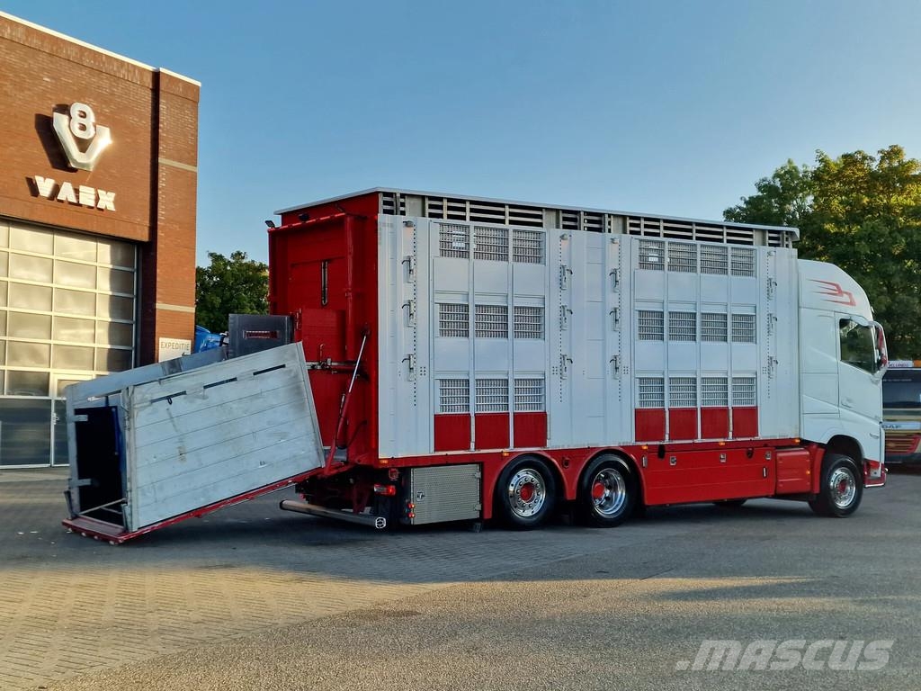 Volvo FH 13.500 XL 6x2 - Pezzaioli livestock 3 deck + Tr Eläinkuljetusautot