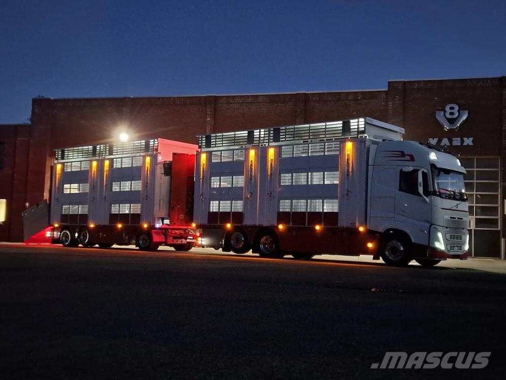 Volvo FH 13.500 XL 6x2 - Pezzaioli livestock 3 deck + Tr Eläinkuljetusautot