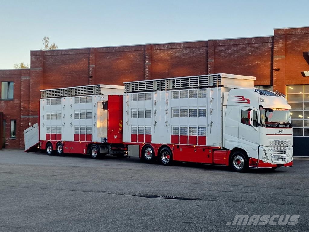 Volvo FH 13.500 XL 6x2 - Pezzaioli livestock 3 deck + Tr Eläinkuljetusautot