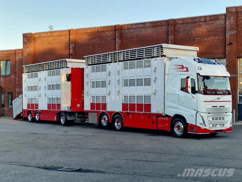 Volvo FH 13.500 XL 6x2 - Pezzaioli livestock 3 deck + Tr Eläinkuljetusautot