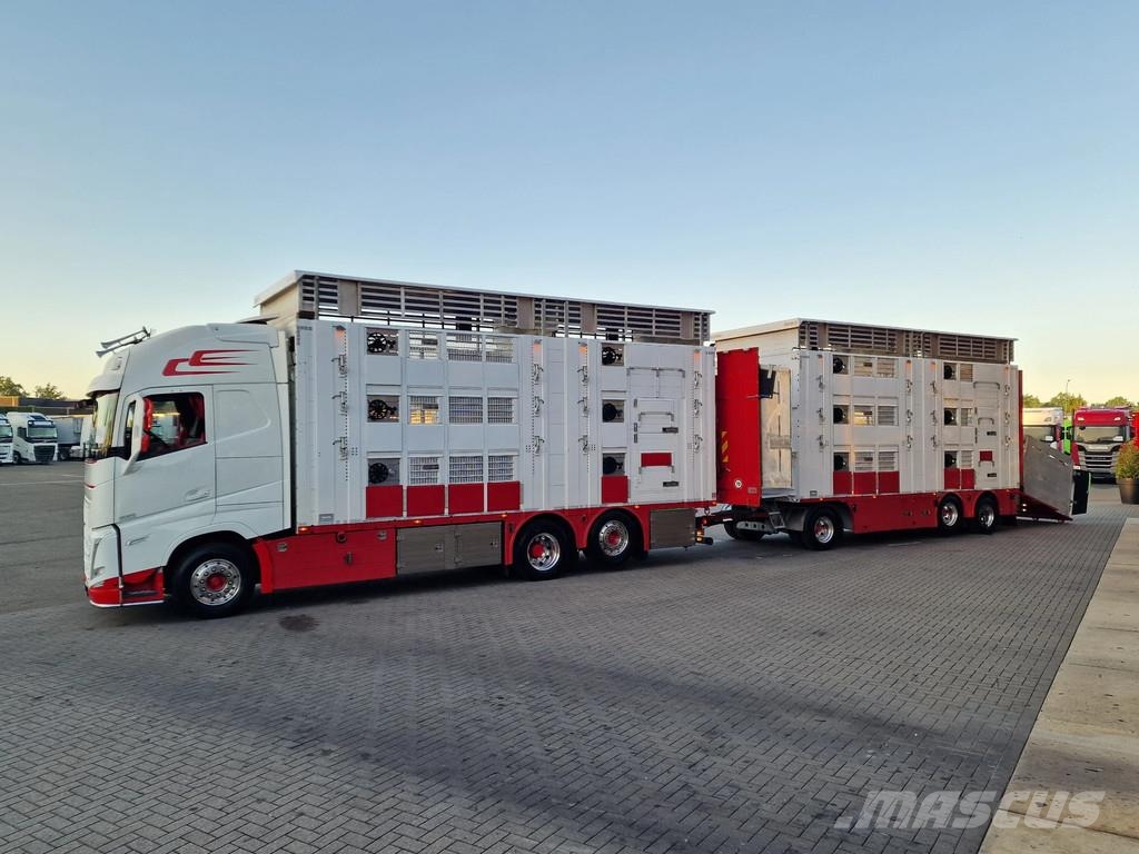 Volvo FH 13.500 XL 6x2 - Pezzaioli livestock 3 deck + Tr Eläinkuljetusautot