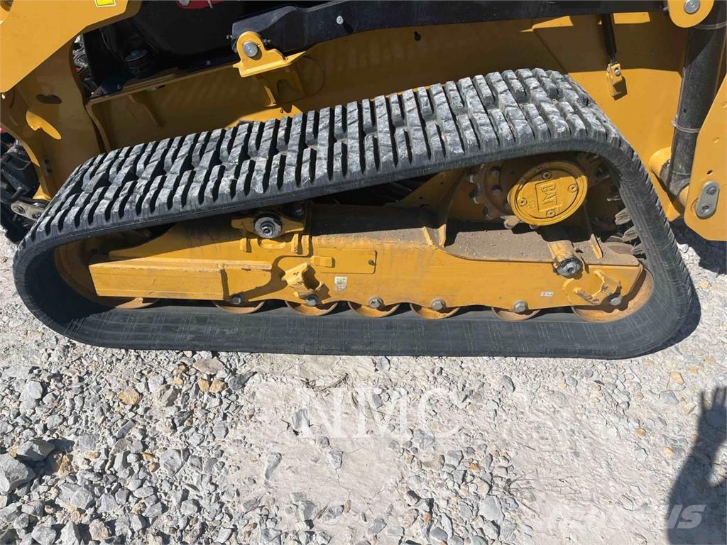 CAT 265 Pale cingolate