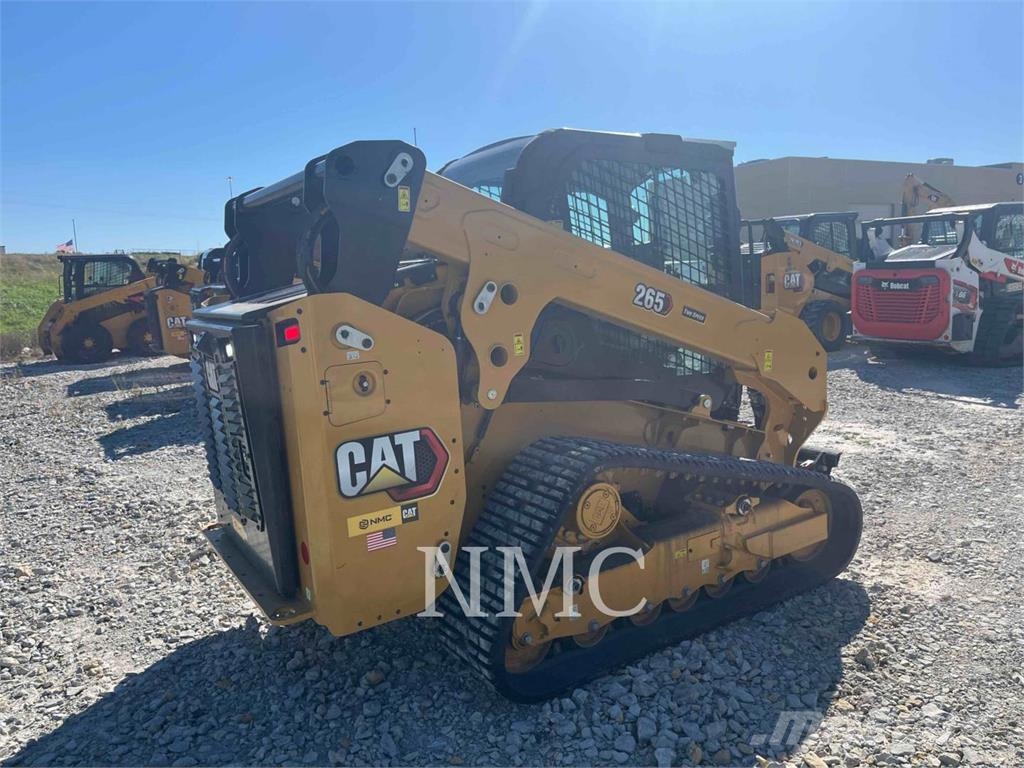 CAT 265 Pale cingolate