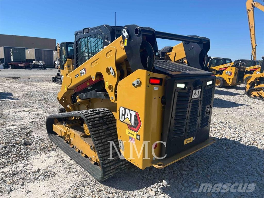 CAT 265 Pale cingolate