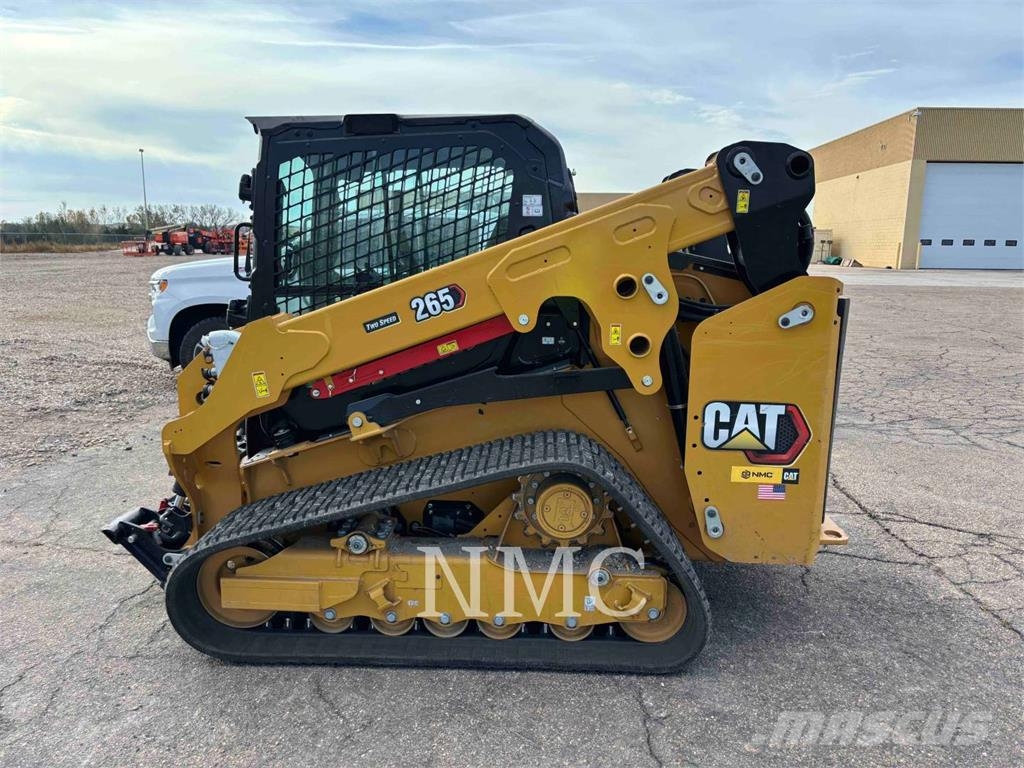 CAT 26505 Pale cingolate