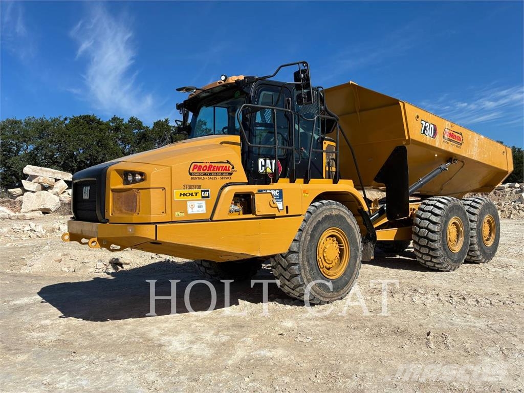 CAT 730-04 Dumpers articolati