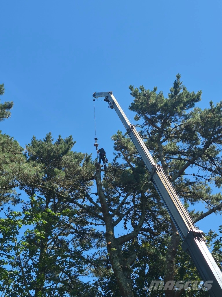Bocker crane 32/2000 Rabljeni žerjavi za vsak teren