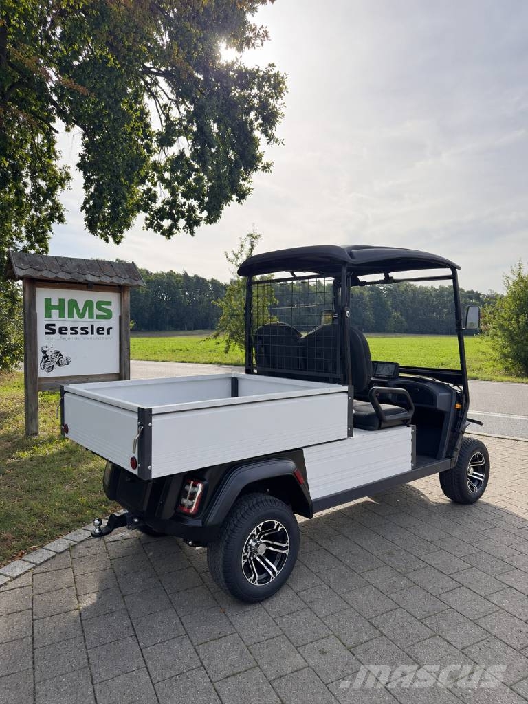 WSM JX2 Cargo 150 Golfautot