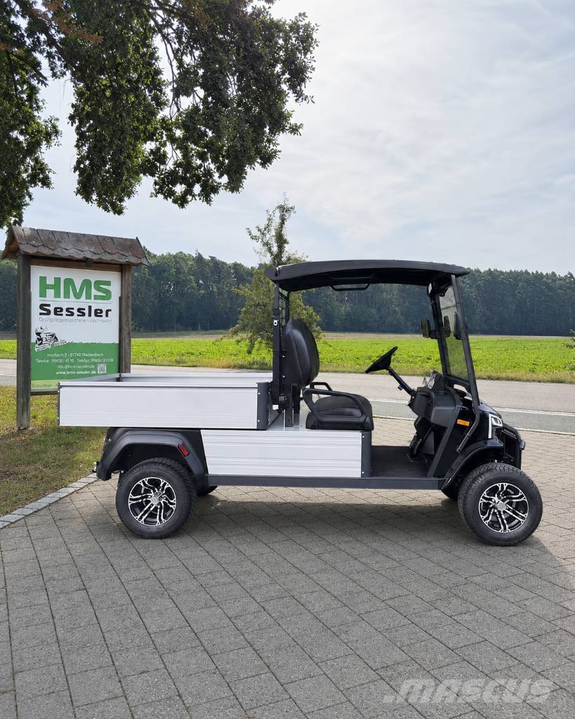 WSM JX2 Cargo 150 Golfautot