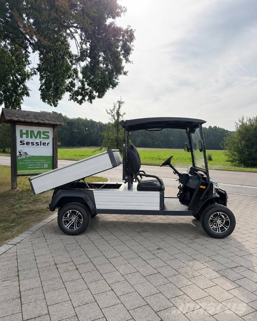 WSM JX2 Cargo 150 Golfautot