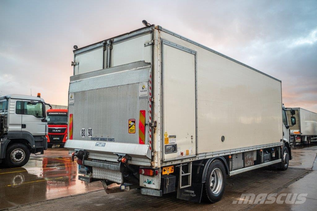 Renault PREMIUM 300DXI+POUSSIN/CHICKEN/KUIKEN/KÛKEN+DHOLLA Skapbiler Frys/kjøl/varme