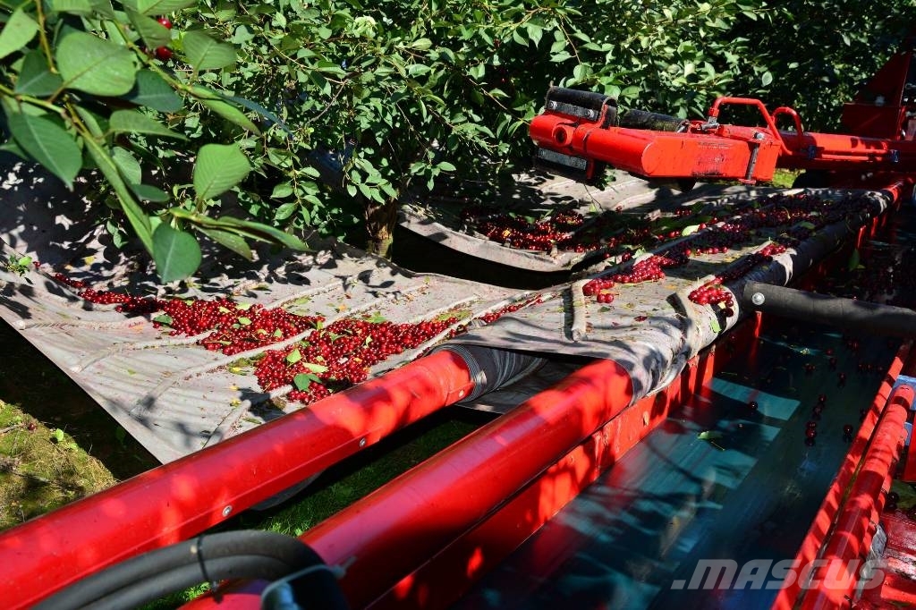 Weremczuk Otrząsarka do wiśni/jabłekMAJA / Cherry harvester Overige rooimachines