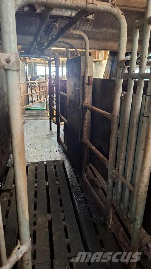 Delaval 36 stands cow inside rotary milking parlour Outra maquinaria e acessórios para gado