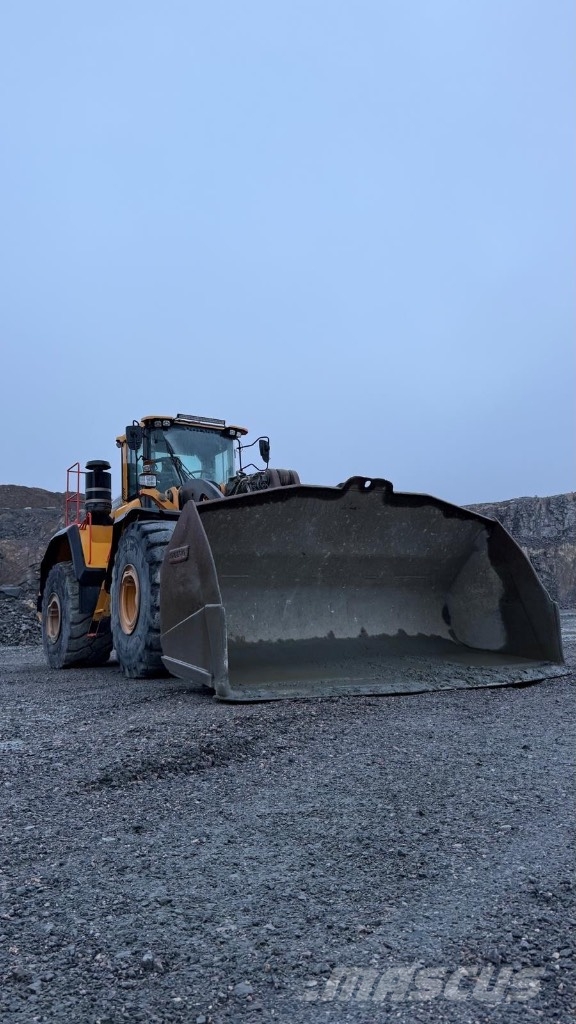 Volvo L 260 H Pale gommate