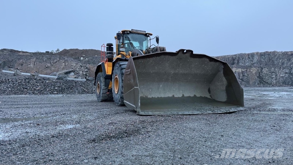 Volvo L 260 H Pale gommate