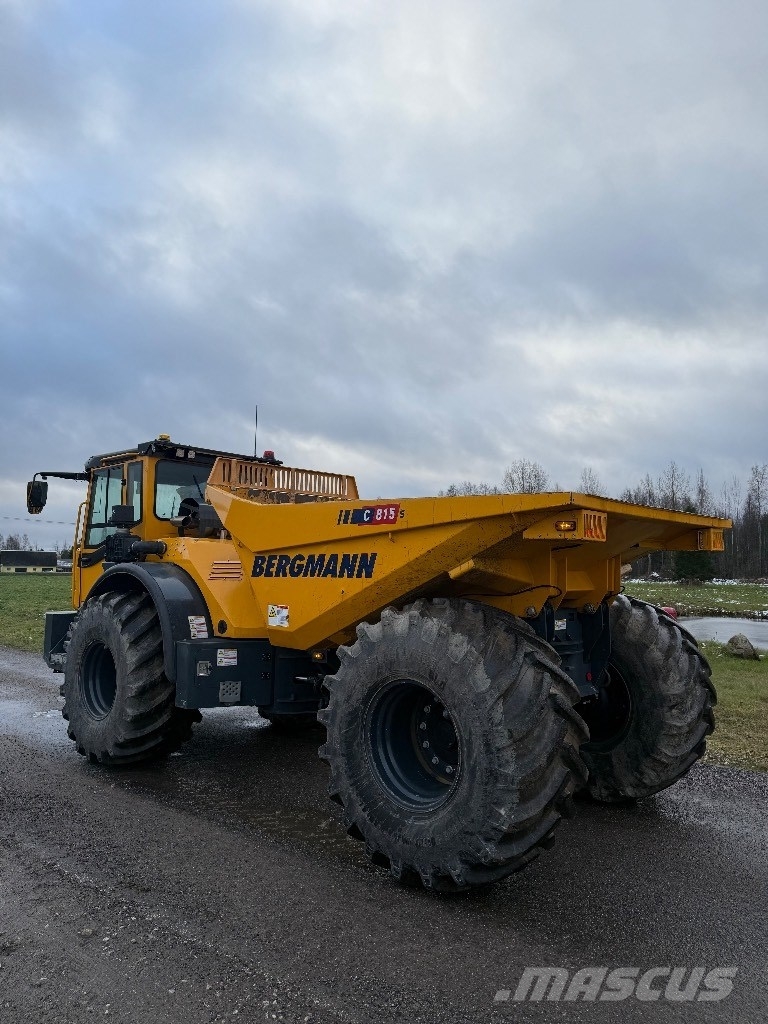 Bergmann C 815S Kĺbové nákladné autá