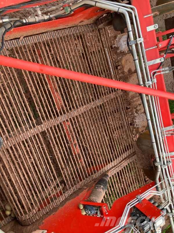 Dewulf kwatro, 4 Row, Self-proppelled Potato Harve Agriculture - Autres