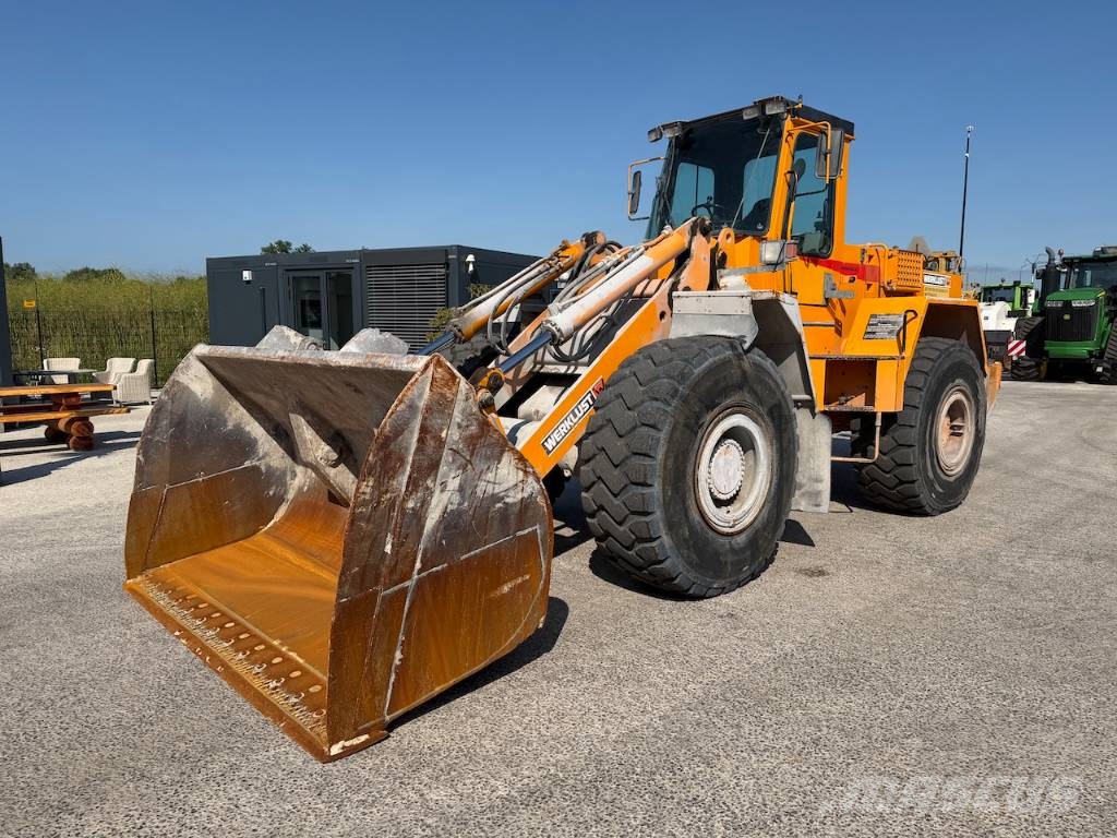 Werklust WG 45 B 12452 uren! لوادر بعجل