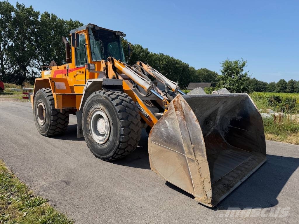 Werklust WG 45 B 12452 uren! لوادر بعجل