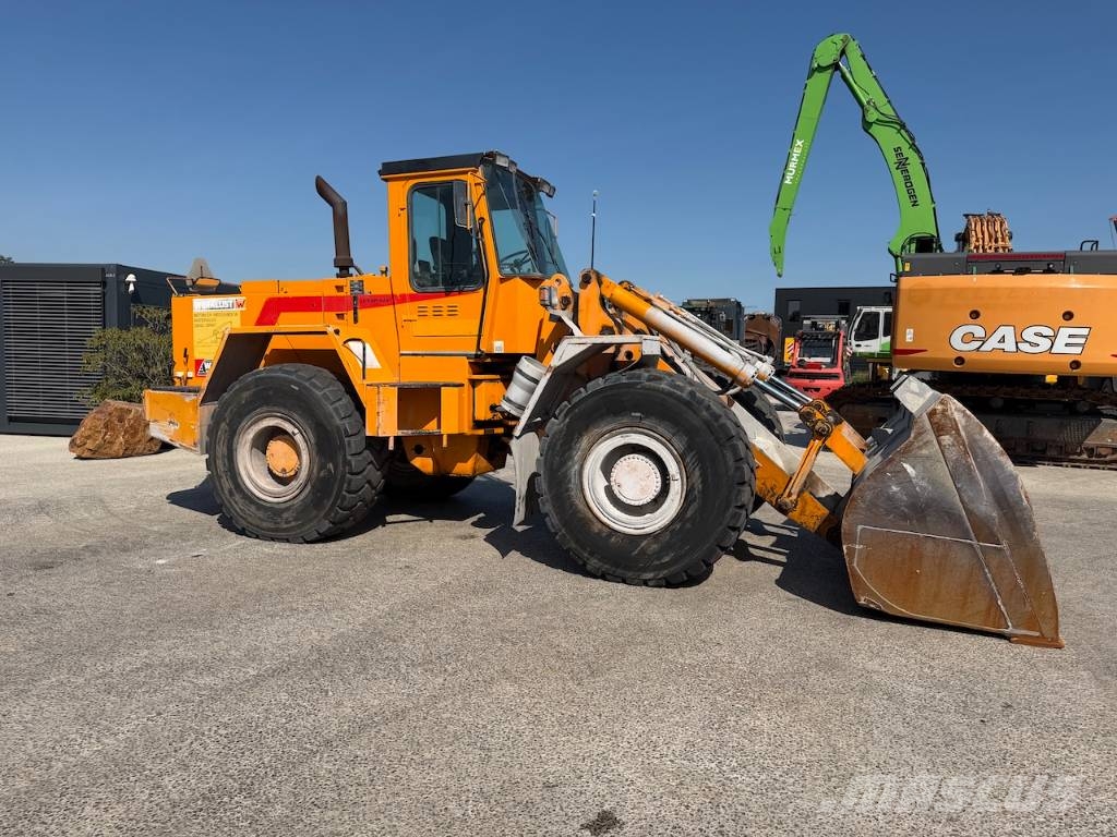 Werklust WG 45 B 12452 uren! لوادر بعجل