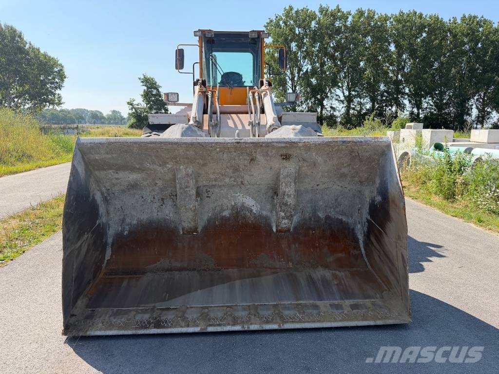 Werklust WG 45 B 12452 uren! لوادر بعجل
