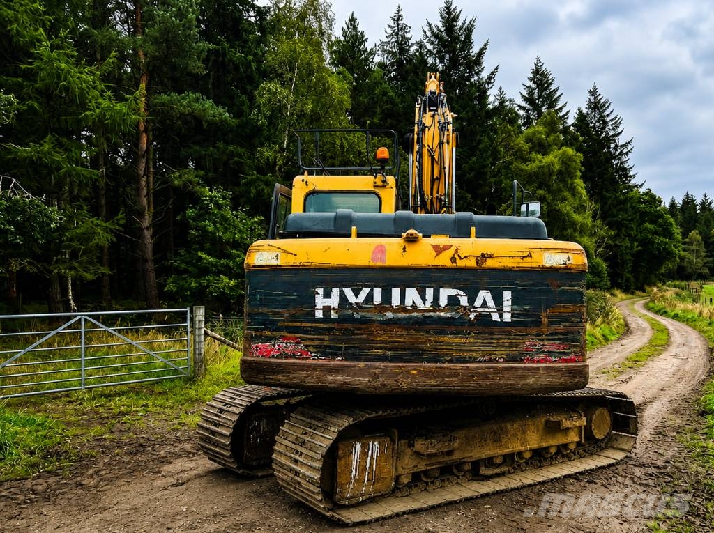 Hyundai Robex 140 LC-9 Excavatoare pe șenile
