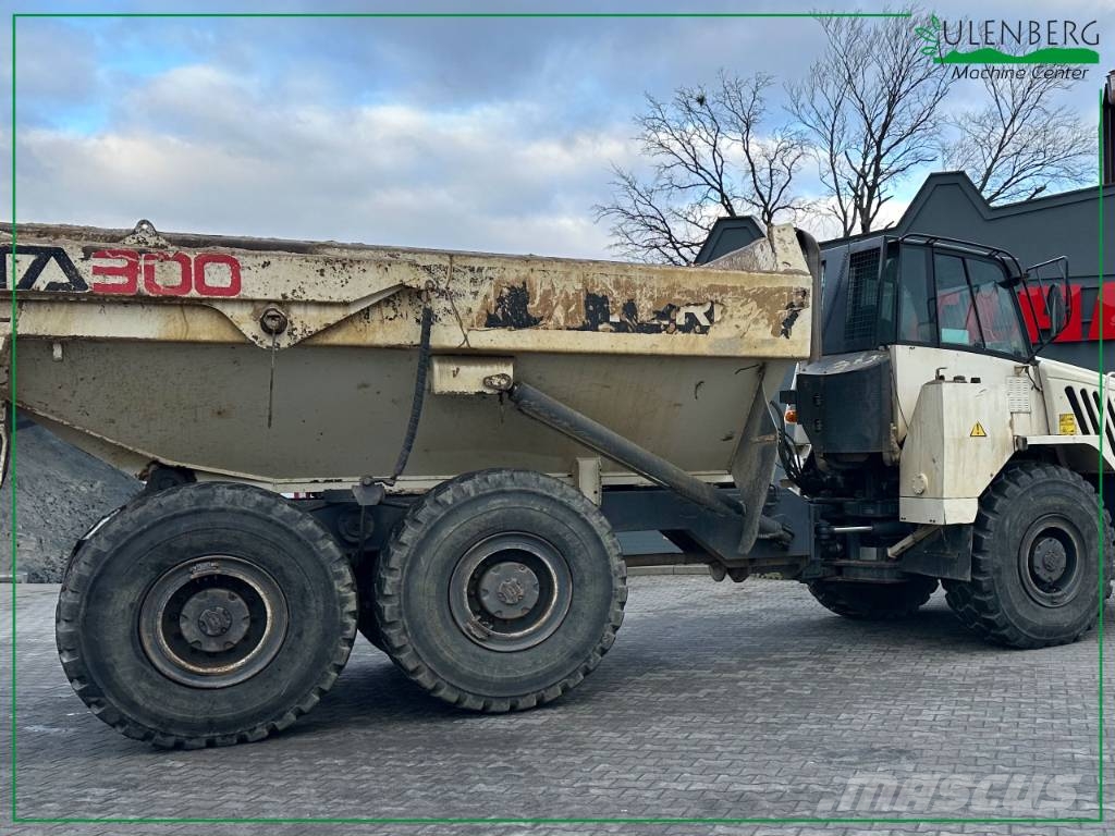 Terex TA 300 鉸接式起吊車
