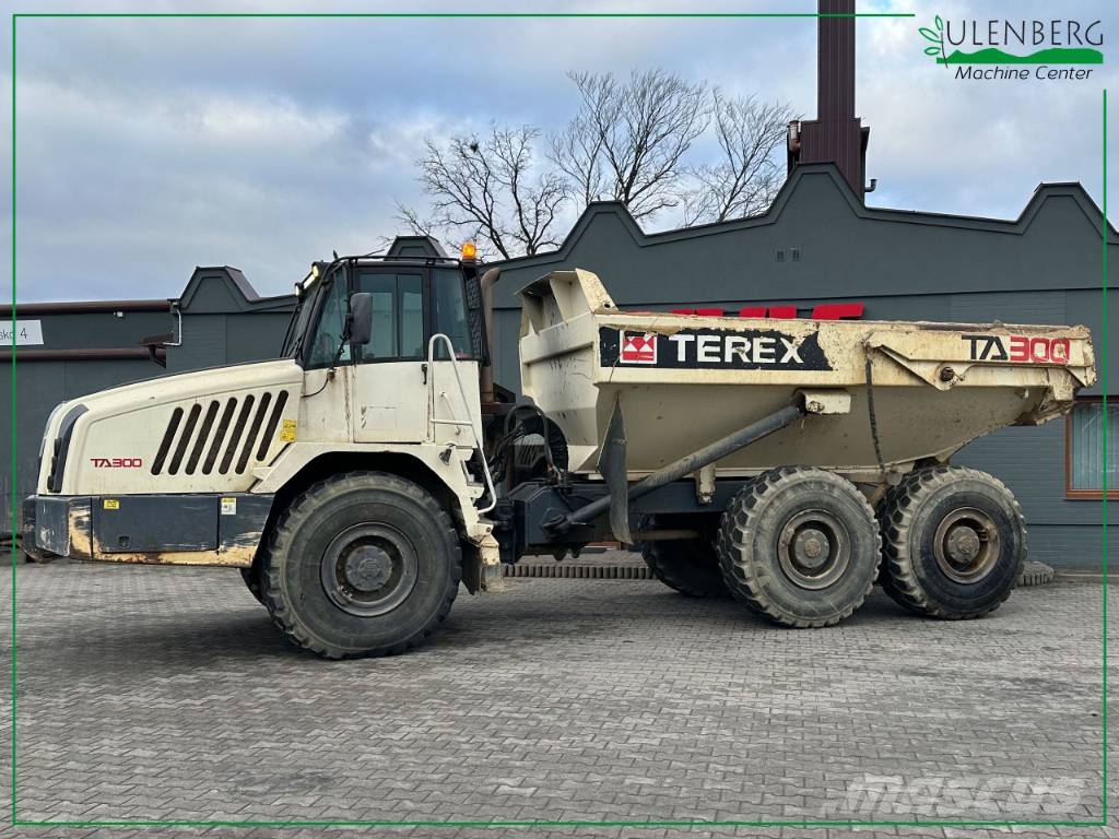 Terex TA 300 鉸接式起吊車