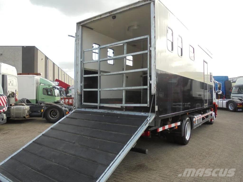 Volvo FM 9.310 + Euro 5 + Manual + Horse transport Автотранспорт для перевезення тварин