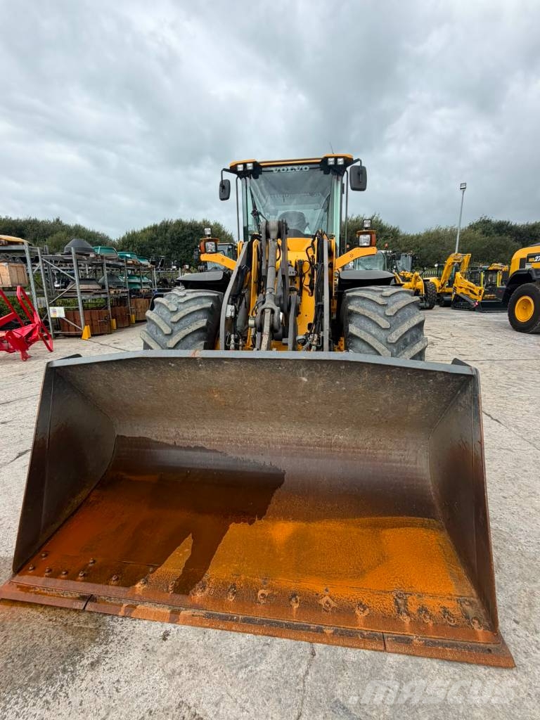 Volvo L 70 G Pale gommate