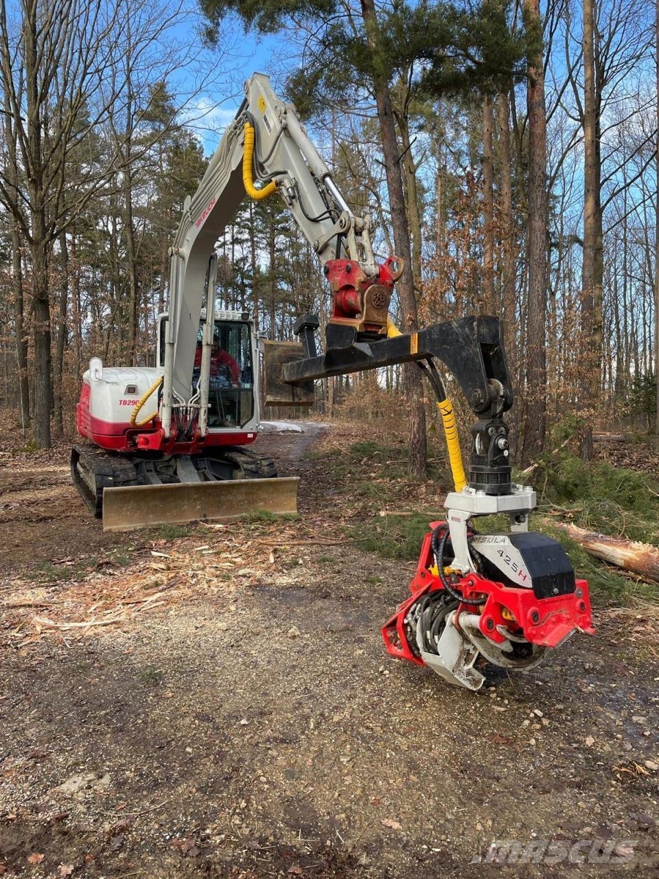 Takeuchi TB 290 CM Εκσκαφείς με ερπύστριες