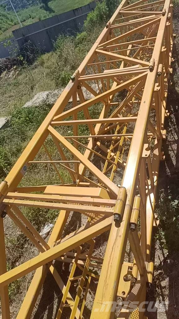 Zoomlion 6013-8 Grúas torre