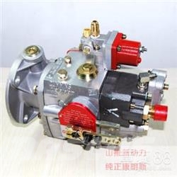 Cummins 4951451-20 Moteur