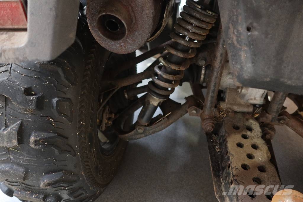 Access 420 SHADE 4X4 沙滩车